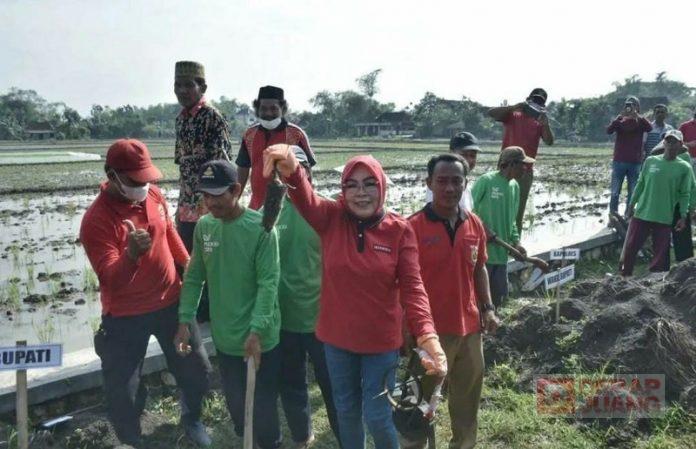 Bupati Grobogan Buka Gerakan Pengendalian Tikus Jelang Masa Tanam