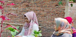 Cegah Stunting, Dewi Aryani Galakkan Program Sedekah Sayur