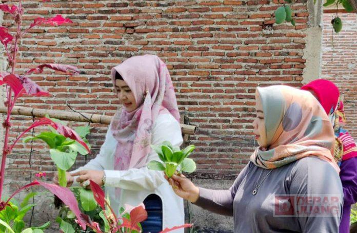 WhatsApp-Image-2022-10-04-at-16.19.29