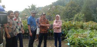 Penuhi Janji Aspirasi, Endang Serahkan 1.310 Bibit Durian dan Alpukat
