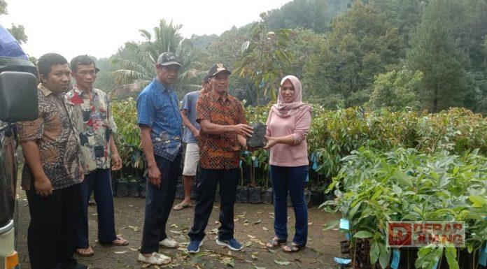 Endang Serahkan 1.310 Bibit Durian dan Alpukat