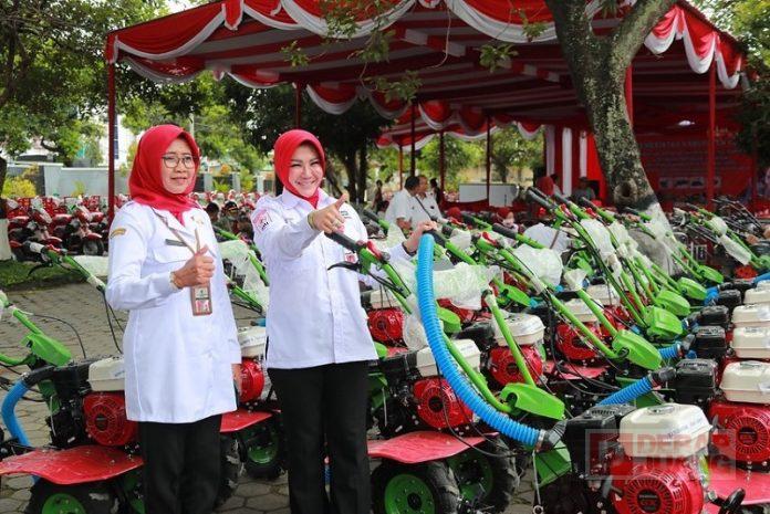 WhatsApp Image 2022-10-21 at 11.22.19