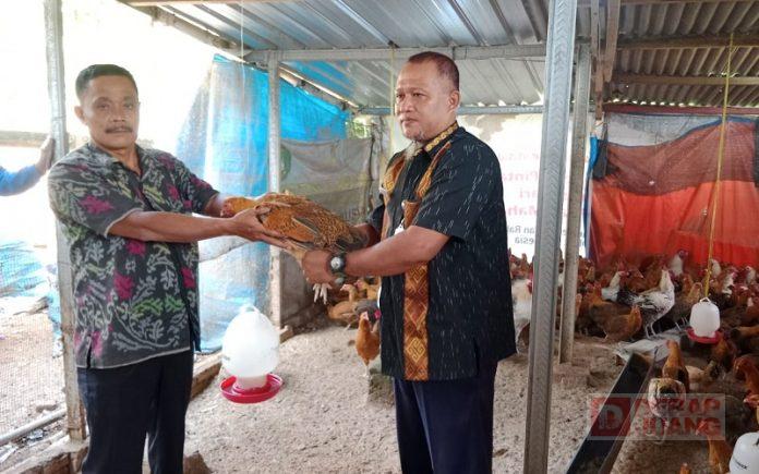 WhatsApp Image 2022-10-31 at 23.22.13