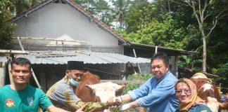 Bung Dance Dorong Pengembangan Wisata Edukasi Susu Sapi Perah