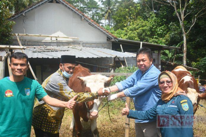 Bung Dance Dorong Pengembangan Wisata Edukasi Susu Sapi Perah