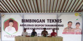 Gelar Bimtek Akselerasi Ekspor Tanaman Hias, Sunarna: Sebagai Pembuka Jendela Produk-produk Lokal