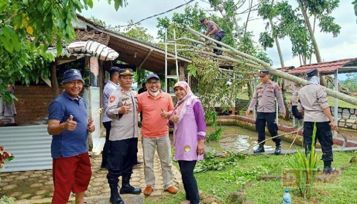Gerak Cepat Kader Banteng Pekalongan Evakuasi Pohon Tumbang Pasca Hujan