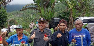 Hadiri Panen Raya Cabai di Wanareja, Taufik Ingin Cabai Jadi Ikon Cilacap