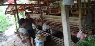 Jaga Amanah Mentor, KJ Jumal: Sebagai Bentuk Kemandirian Ekonomi