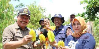Mbak Etik Dorong Budidaya Tanaman Buah di Kabupaten Blora