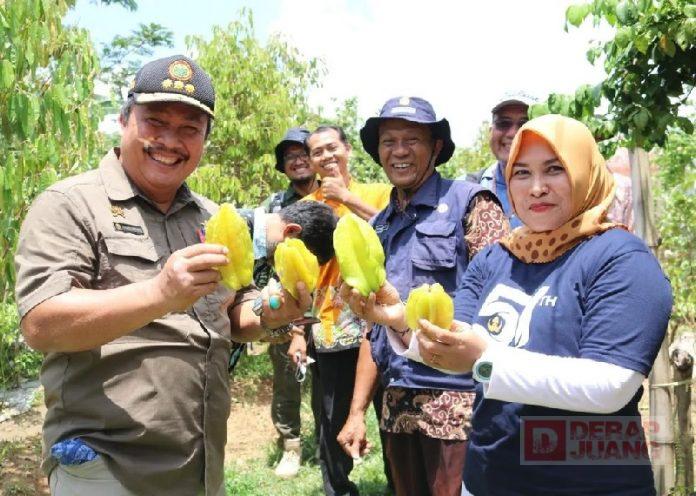Mbak Etik Dorong Budidaya Tanaman Buah di Kabupaten Blora