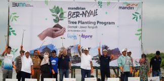 Refleksi Hari Menanam Pohon Indonesia, Bupati Demak Tanam Mangrove di Lahan Seluas 500 Hektare