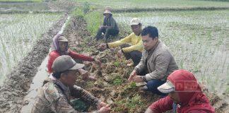 Rokib: Semoga Bisa Tingkatkan Produktivitas Petani