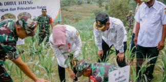 Tanam Alpukat, Bupati Grobogan Minta Manfaatkan Kawasan Hutan