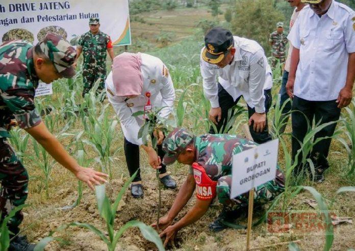 Tanam Alpukat, Bupati Grobogan Minta Manfaatkan Kawasan Hutan