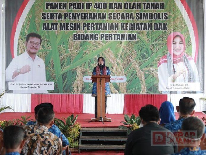 WhatsApp Image 2022-11-18 at 01.06.24