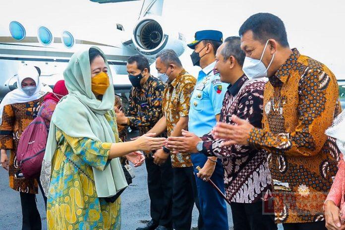 WhatsApp Image 2022-11-19 at 18.11.02