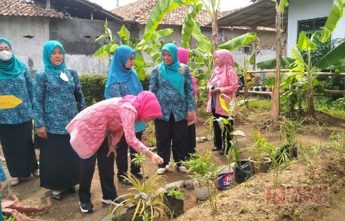 Widi Riswadi Minta PKK Pekalongan Fokus Gali Potensi Desa