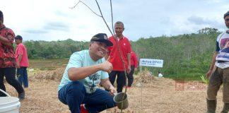 Bersama Masyarakat Ciwalen, Taufik Nurhidayat Lakukan Tanam Pohon