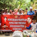Dicurhati Petani, Dimas dan Paramitha Beri Bantuan Pupuk dan Obat Sawah (2)