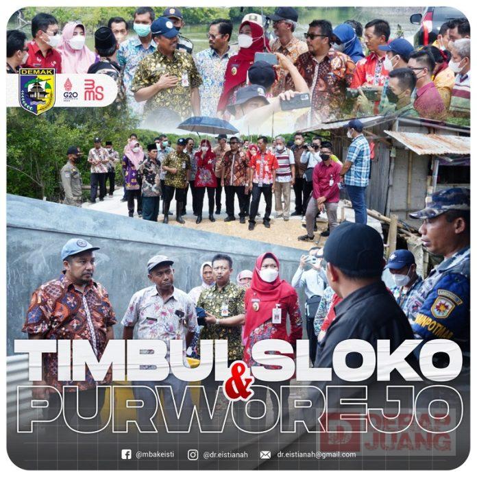 Sasar Pesisir Demak, Mbak Eisti Ajak Malik Sadat Idris Tinjau Wilayah Terdampak Rob