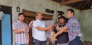 Sartono dan Sumanto Distribusikan Bantuan Hewan Ternak