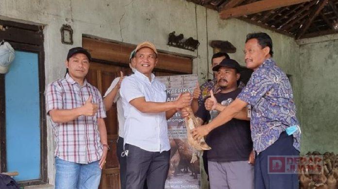 WhatsApp Image 2022-12-05 at 06.12.43