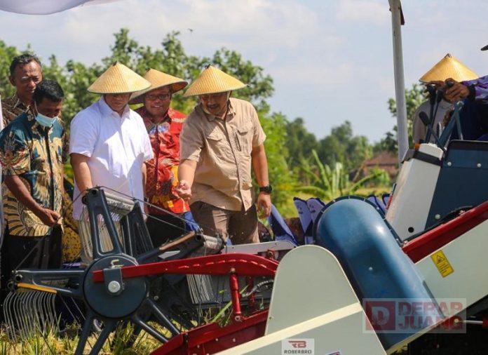 WhatsApp Image 2022-12-12 at 14.14.59