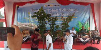 Sudjadi Serahkan Bantuan Bibit Pepohonan di Muntilan