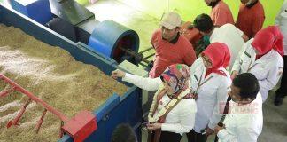 Wujudkan Ketahanan Pangan, Sri Mulyani Resmikan LPM Joho