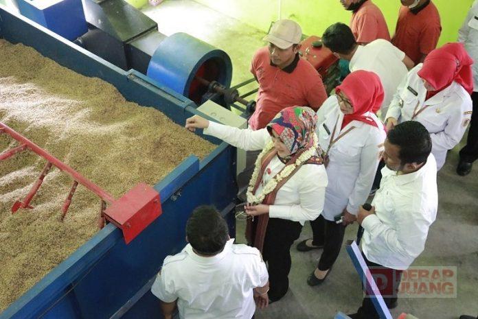 WhatsApp Image 2022-12-30 at 11.47.55