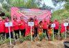 Banteng Blora Lakukan Gerakan Penghijauan di Daerah Aliran Sungai Lusi