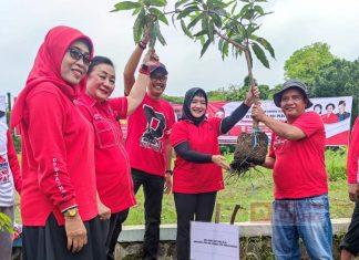 Bergerak Bersama, Dewi Aryani dan Kader Partai Tegal Lakukan Penghijauan