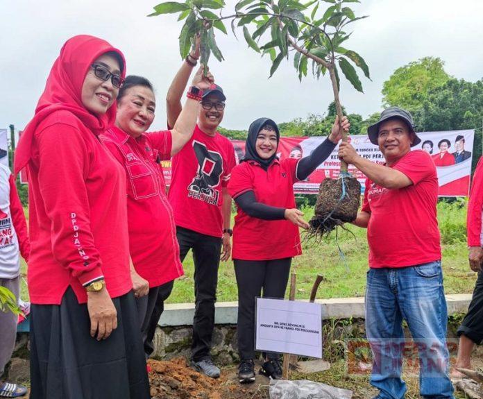 Bergerak Bersama, Dewi Aryani dan Kader Partai Tegal Lakukan Penghijauan
