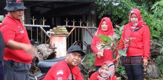 PDI Perjuangan Kota Tegal Gelar Penghijauan, Mas Uyip: Guna Menjaga Keseimbangan Alam