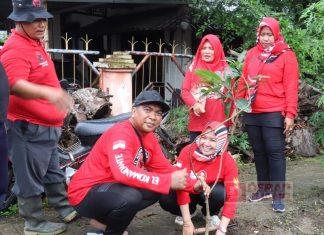 PDI Perjuangan Kota Tegal Gelar Penghijauan, Mas Uyip: Guna Menjaga Keseimbangan Alam