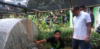 Dukung Kampung Bibit Kedungbanteng, Sadewo: Butuh Etalase untuk Pemasaran