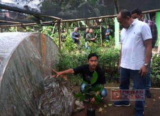 Dukung Kampung Bibit Kedungbanteng, Sadewo: Butuh Etalase untuk Pemasaran