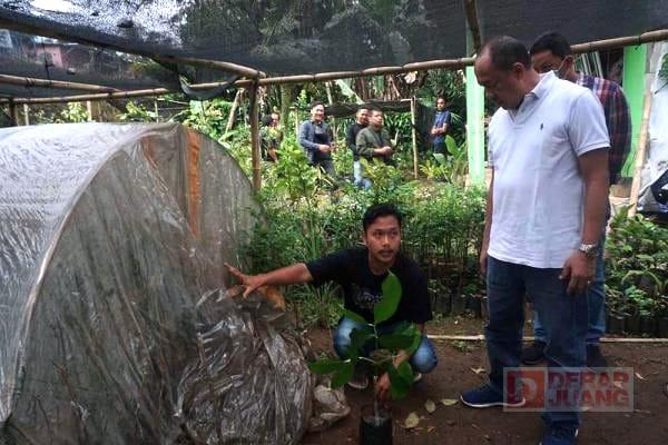 Dukung Kampung Bibit Kedungbanteng, Sadewo Butuh Etalase untuk Pemasaran