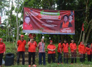 Lakukan Aksi Penghijauan, DPC PDI Perjuangan Cilacap Tanam Pohon