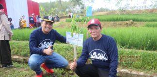 Lestarikan Lingkungan Hijau, Taufik Harap Masyarakat Gemar Tanam Pohon