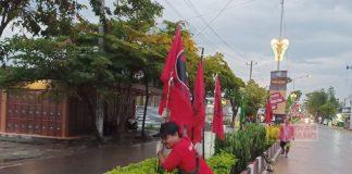 Menuju HUT ke-50 Partai, Banteng Grobogan Pasang Seribu Bendera