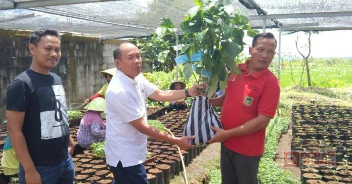 Sadewo Dukung Sentra Pembibitan Tanaman Dawuhan Kulon Jadi Agrowisata