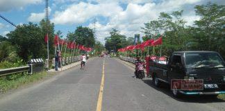 Semarakkan HUT ke-50, Banteng Banyumas Pasang Ribuan Bendera Partai