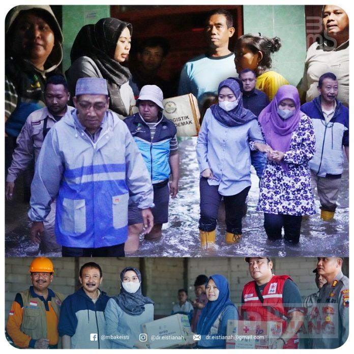 Tilik Banjir, Mbak Eisti Keliling Demak dari Sayung ke Bonang