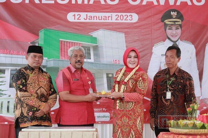 WhatsApp Image 2023-01-12 at 16.58.04