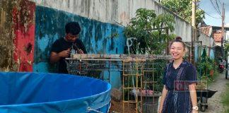 Mia Widyastuty Berdayakan Masyarakat Melalui Budidaya Lele