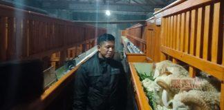 Siswanto Ajak Pemuda Mulai Melirik Sektor Peternakan