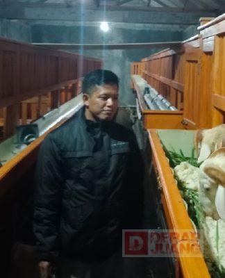 Siswanto Ajak Pemuda Mulai Melirik Sektor Peternakan