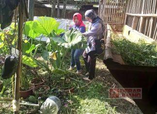 Gandeng Dinkes Salatiga, Dian Lakukan Pemberantasan Sarang Nyamuk